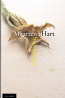 Omslagsbild för Solvisaren