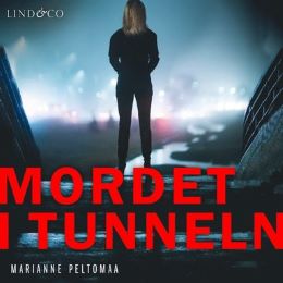 Bild på bokomslag för Mordet i tunneln 