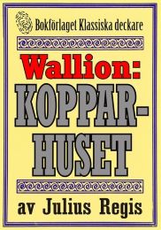 Bild på bokomslag för Kopparhuset