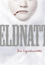 Bild på bokomslag för Eldnatt
